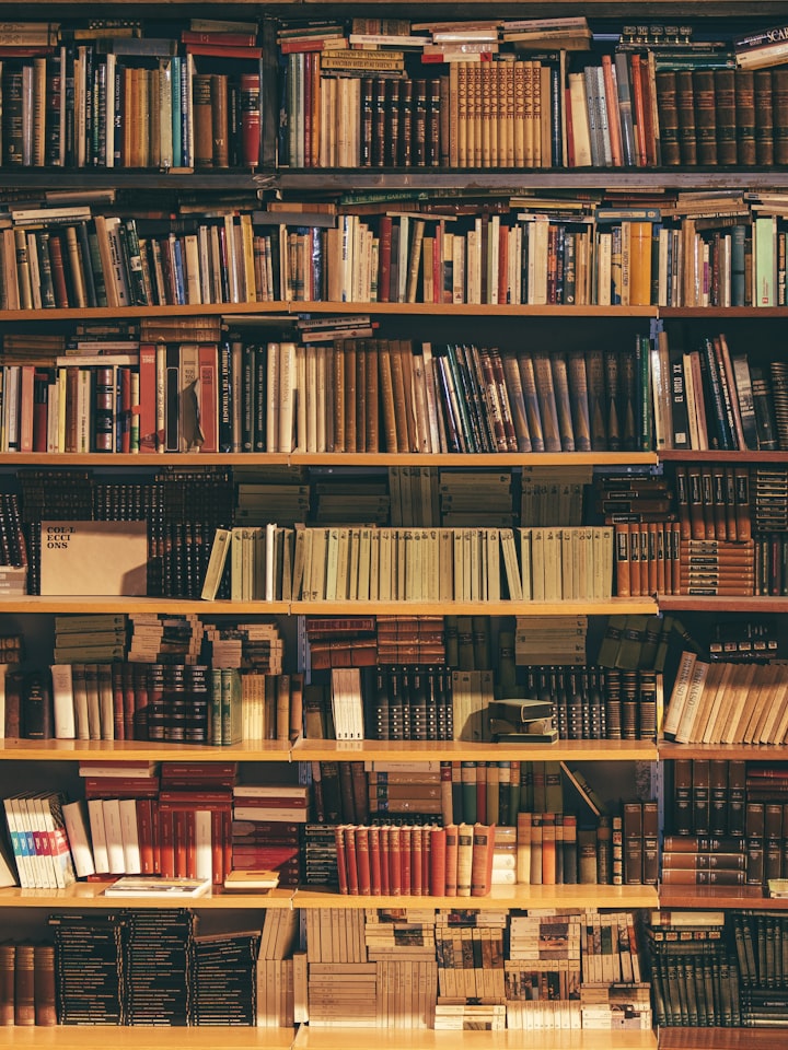 Wall of well-stocked bookshelves
